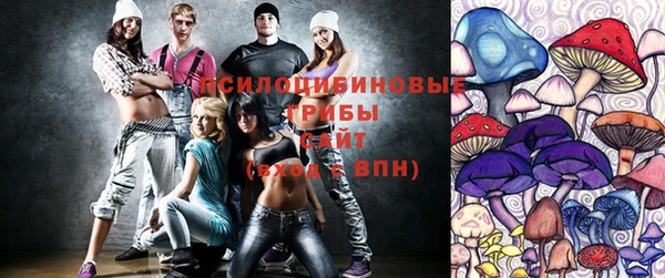 PSILOCYBIN Богородицк