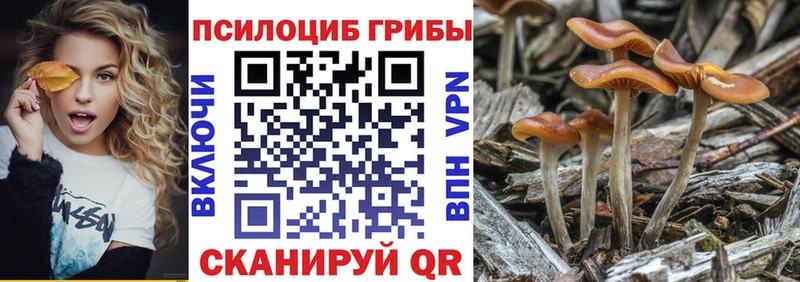Псилоцибиновые грибы Cubensis  Купить где  Семилуки 